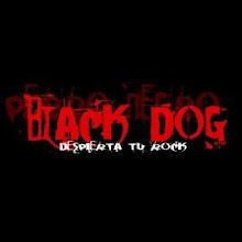 BLACK DOG