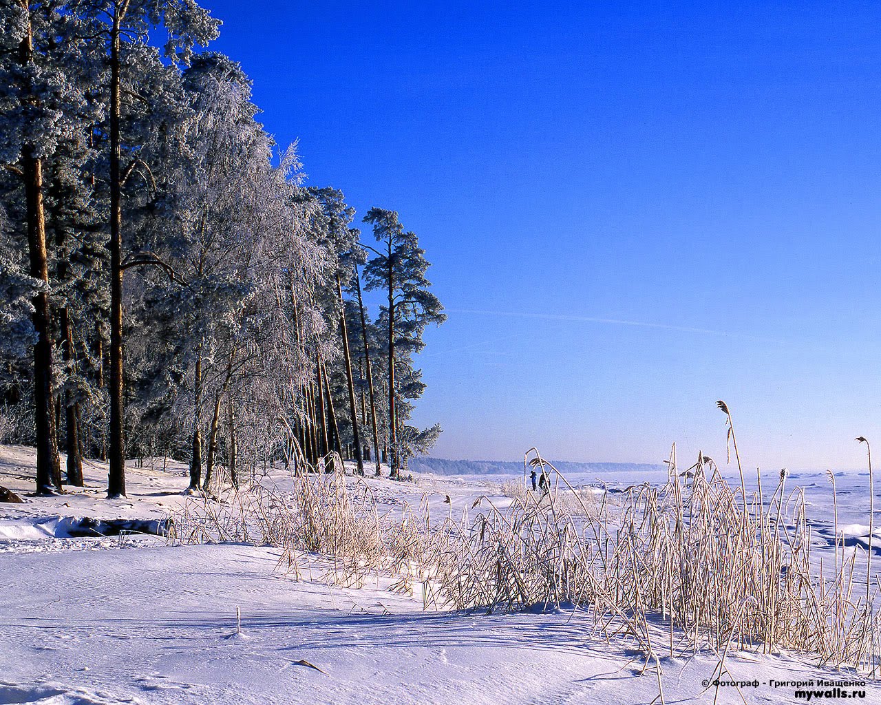 free wallpicz: Hd Desktop Wallpaper 1280 X 1024