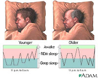 fáze spánku