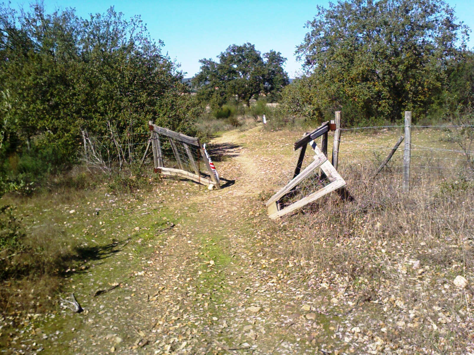[IMAGE_00260.jpg]