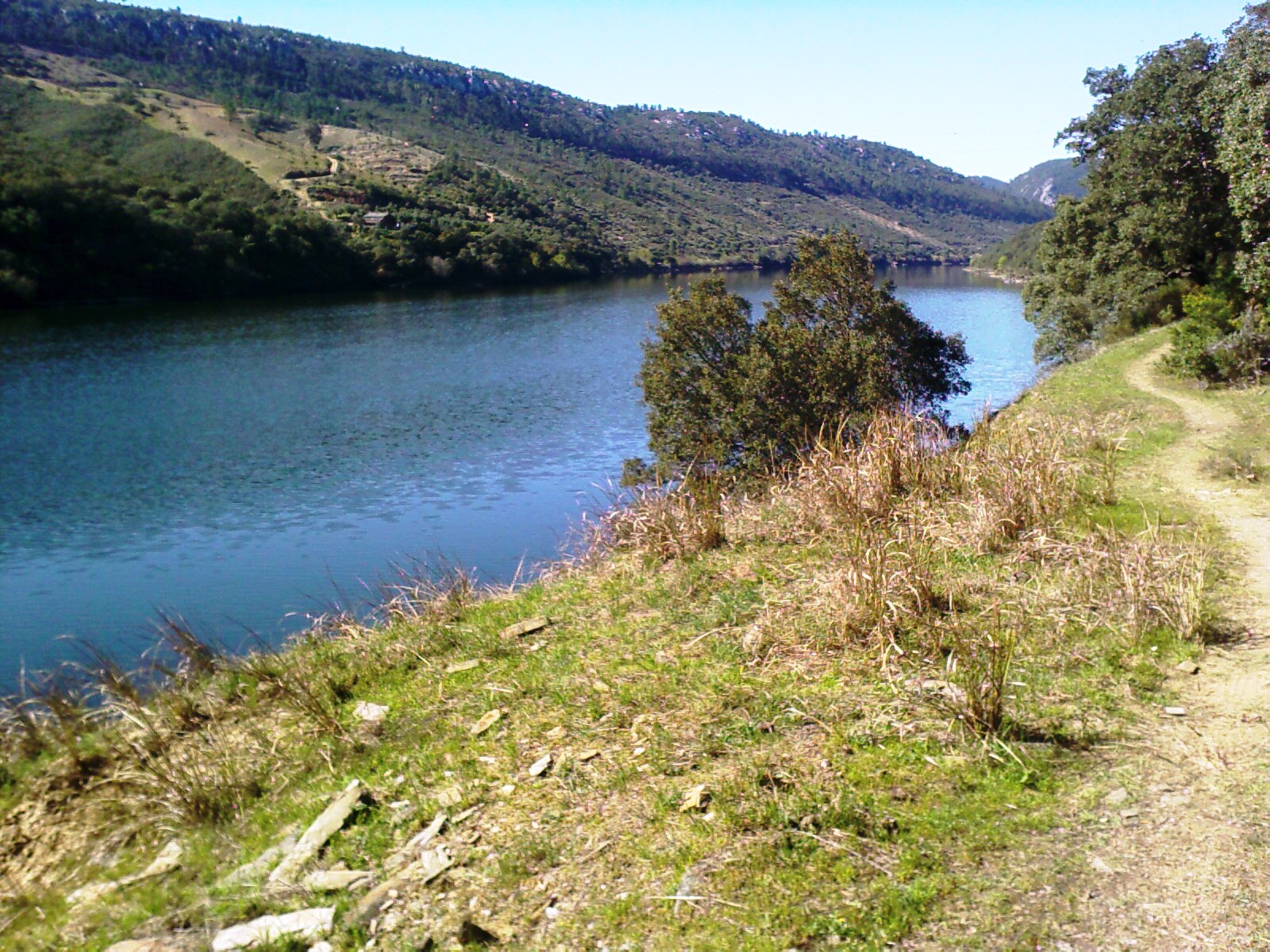 [IMAGE_00237.jpg]