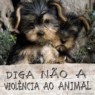 AME!