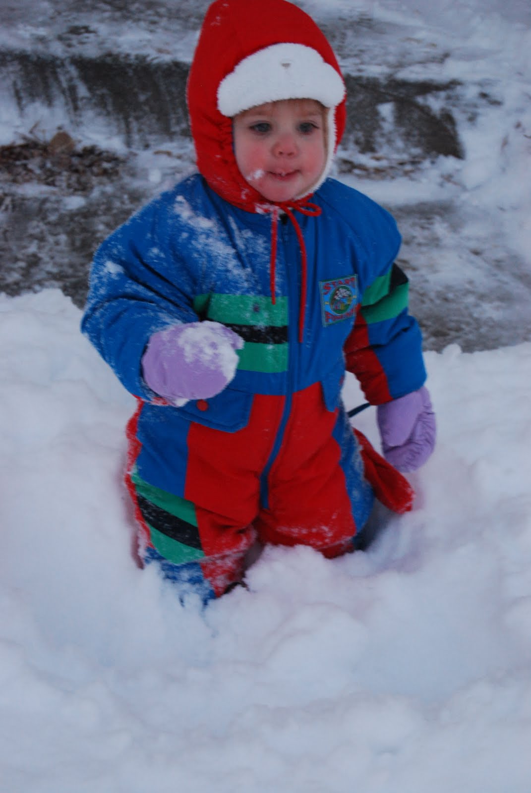 [DSC_0680.JPG]