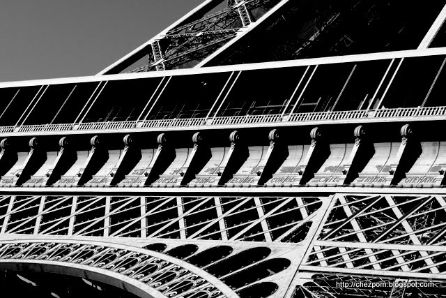 [_MG_4465.JPG]