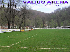 STADIONUL VALIUG ARENA