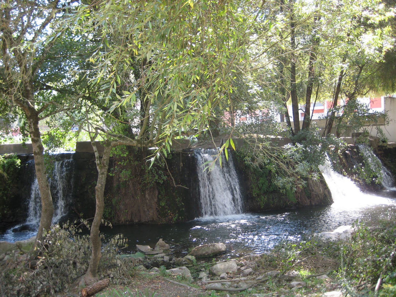 [IMG_0318.jpg]