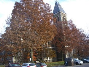 [CIMG1238_resize.JPG]