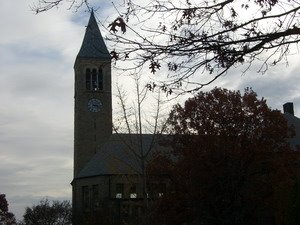 [CIMG1256_resize.JPG]