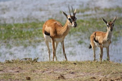A cute couple out on a date at the watering hole...how romantic?!