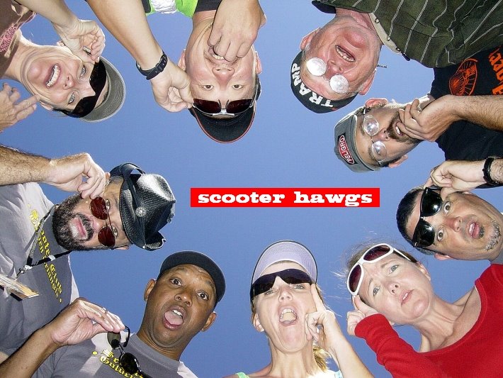 Scooter Hawgs