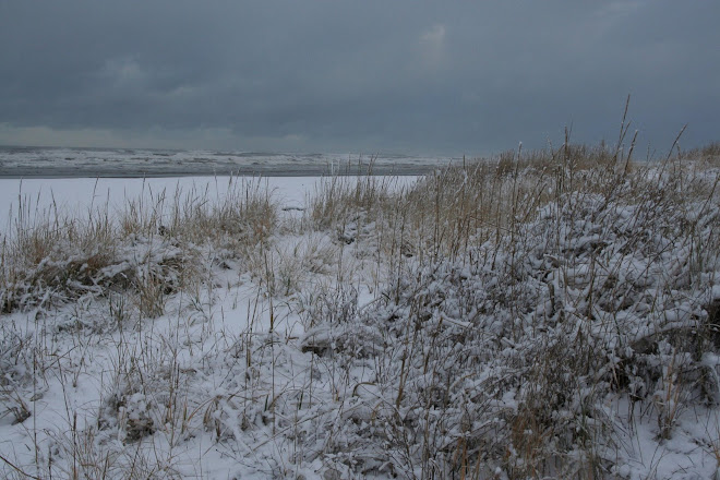 Winter at the beach