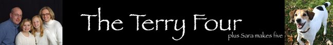The Terry Four