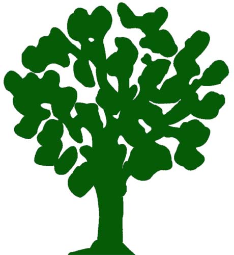 [Tree+Cover.jpg]