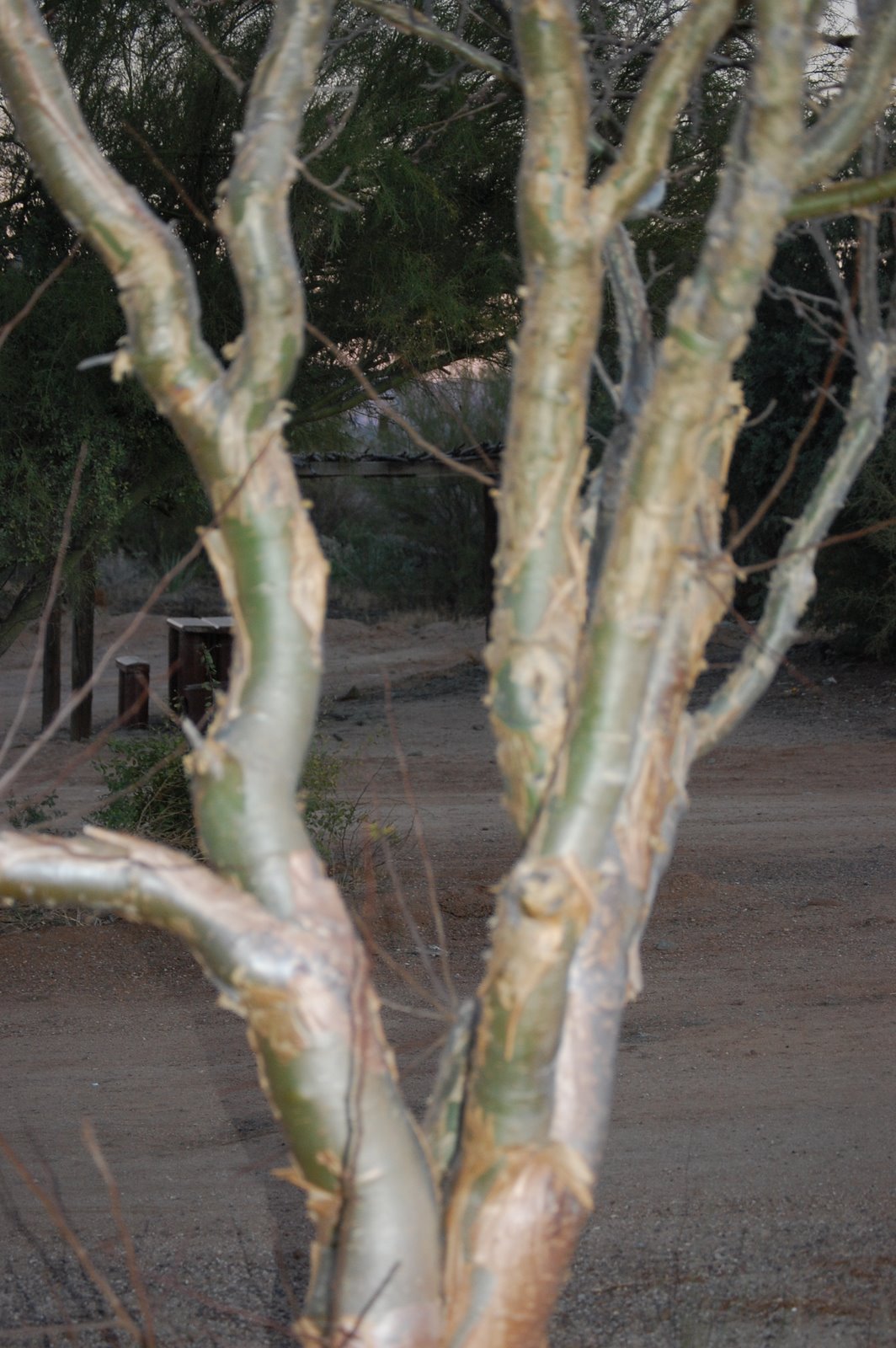 [DSC_1136.JPG]