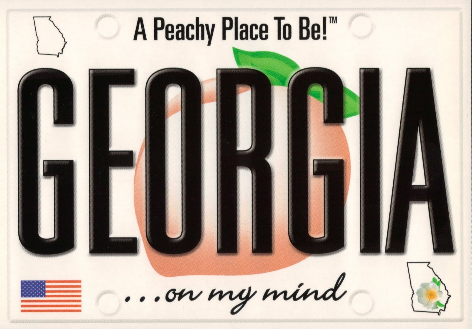 Postcard Anthology Postcards