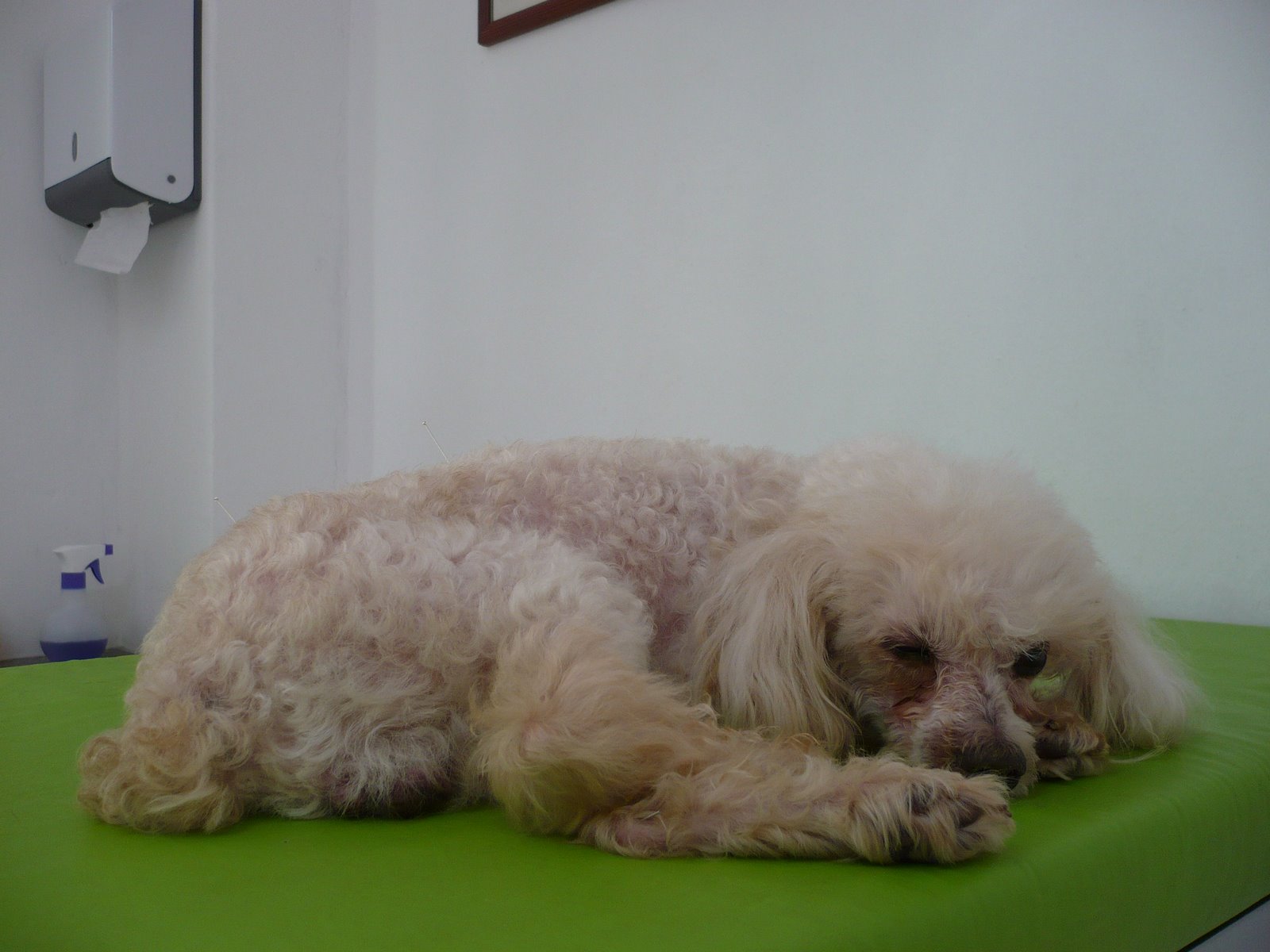[P1010253.JPG]