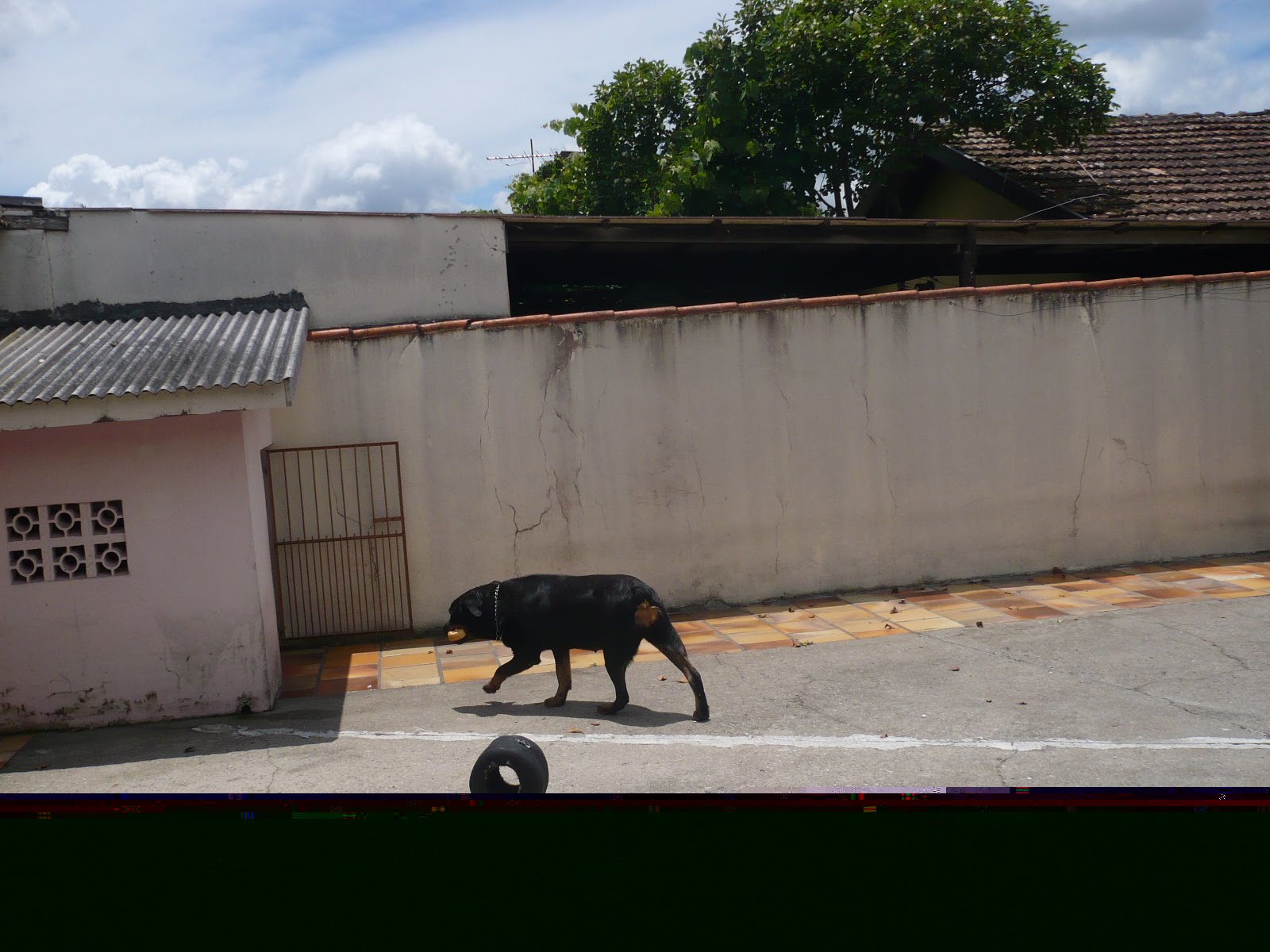 [P1030720.JPG]