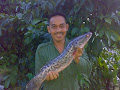 Saidi