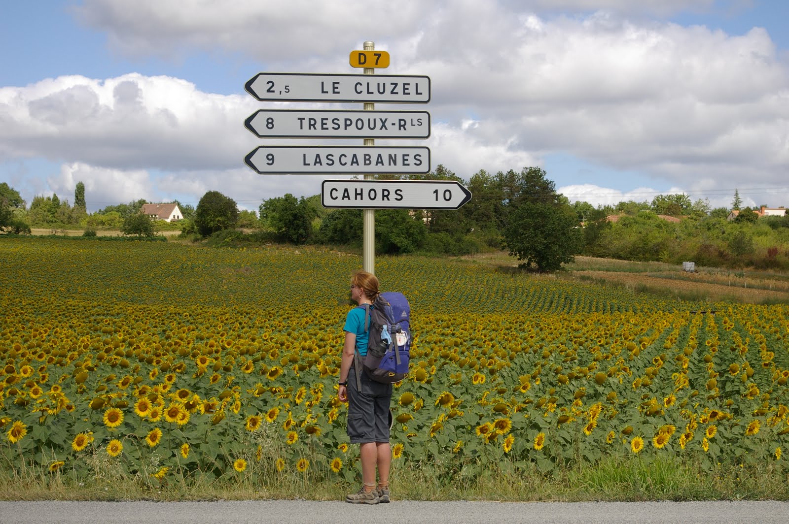 [Camino+(278).JPG]