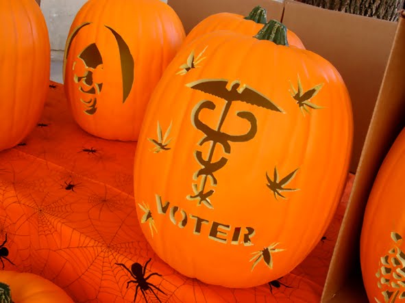 The Greenest Green Blog: First Annual Pumpkin Carving Contest(s)