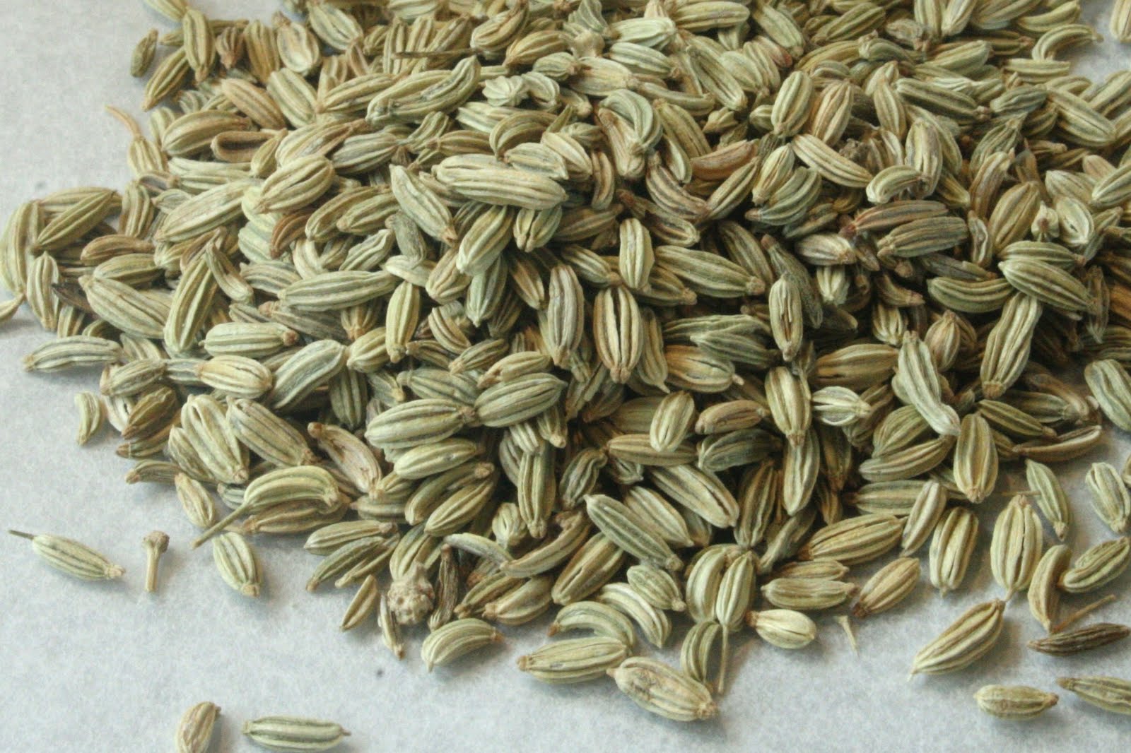 wannabeafoody Caramelised Onion and Fennel Seed Tart