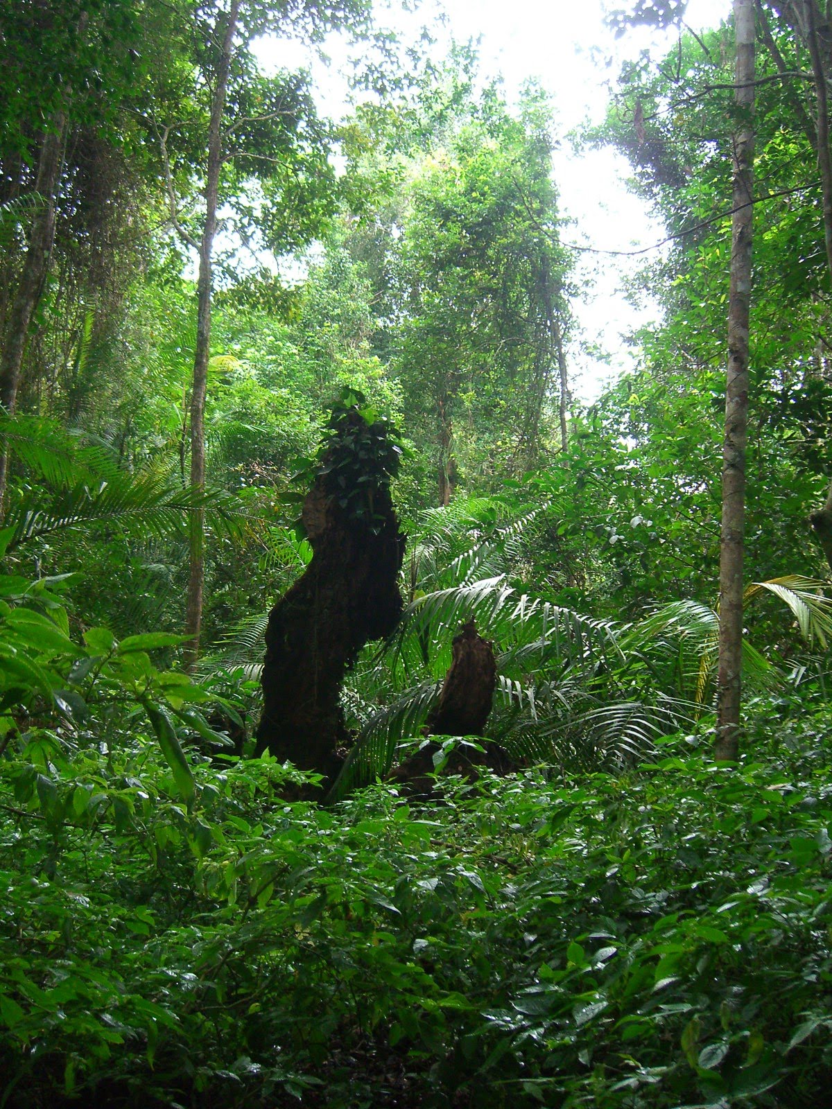 Idas Bloghaus Terrasse Zum Herbstgeniessen