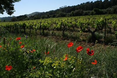 cahiers de l agriculture