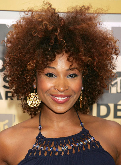 African American Hairstyle Gallery 2009 2010