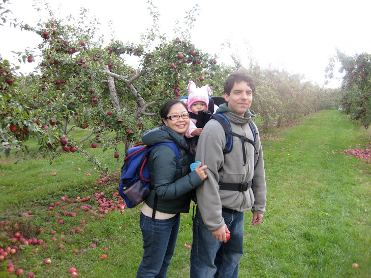 Apple picking in the Berkshires