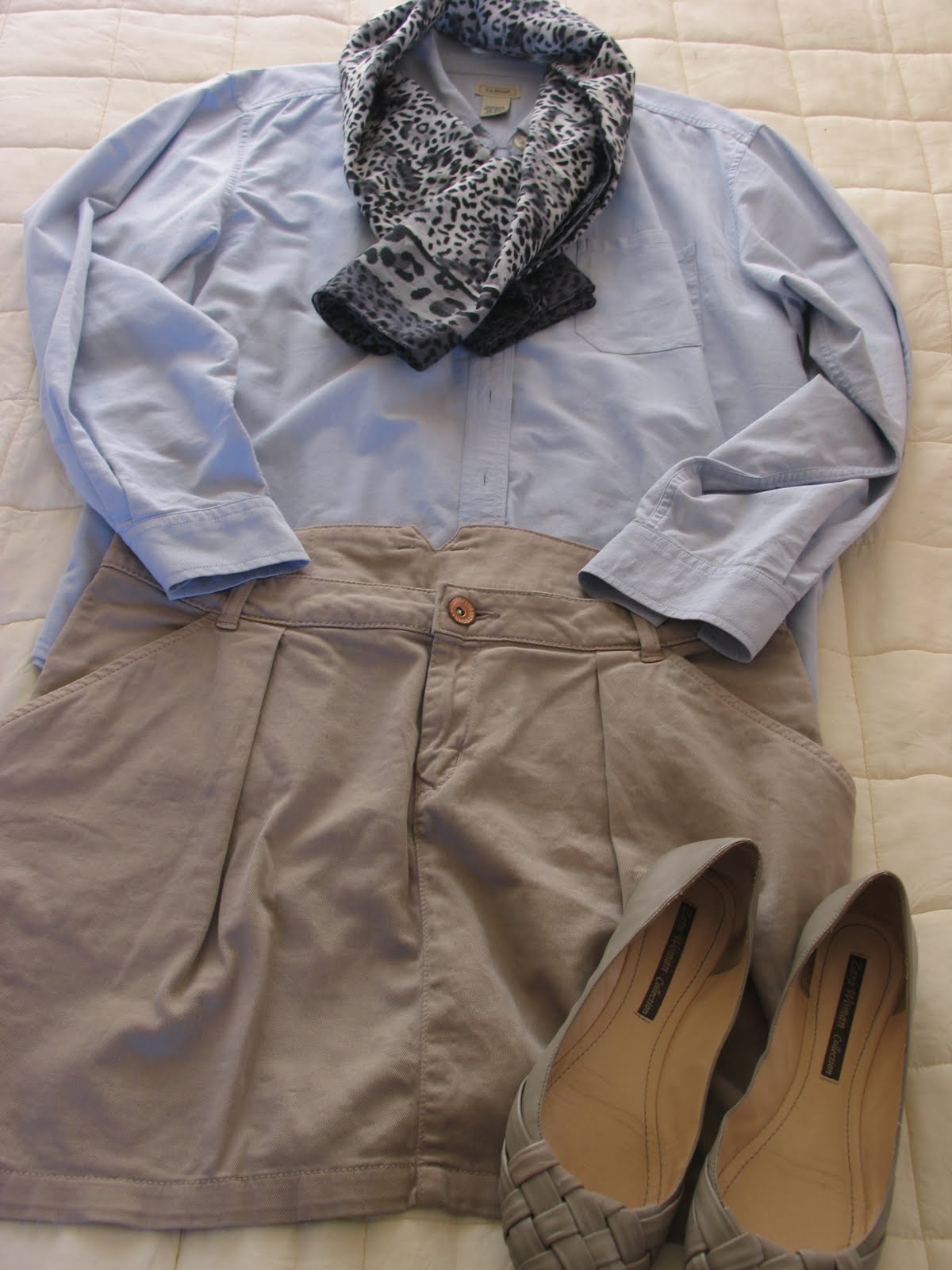Outfits Anonymous Khaki Skirt and Blue Button Down
