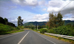 Carretera Santa Cruz Lolol