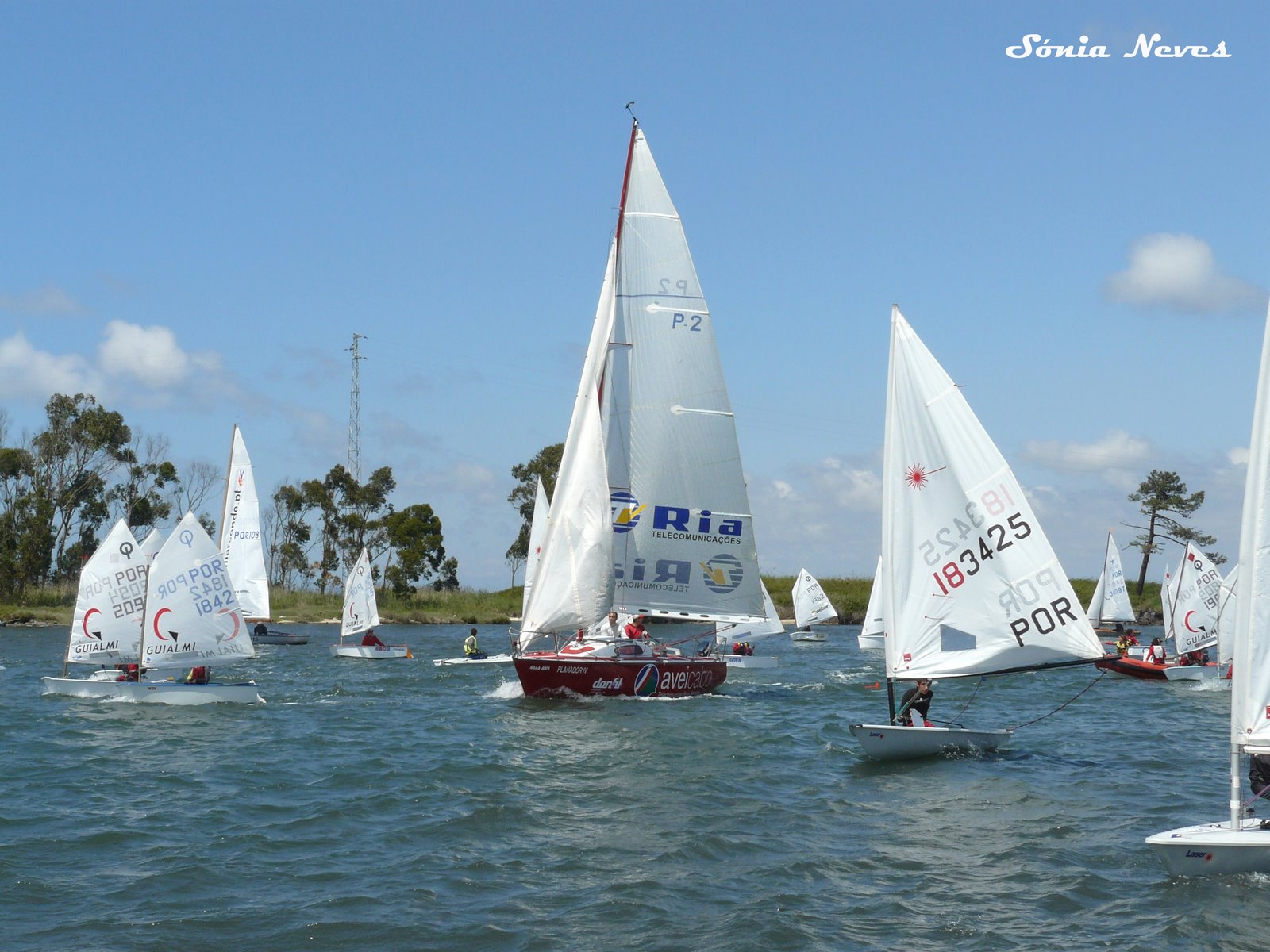 [regata2.jpg]
