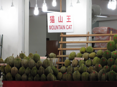 mountain cat durian