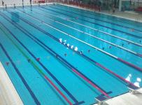 [PiscinaCoimbra.JPG]