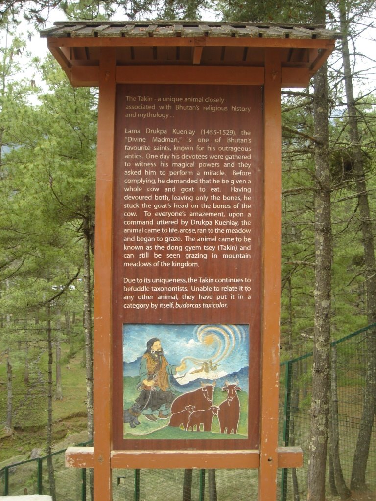 [DSC01848.JPG]