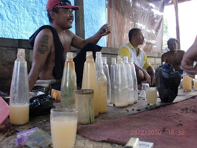 Minum Tuak