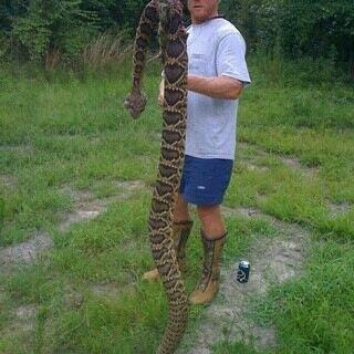 snake snakes rattlesnake rattle alabama texas killed found county foot big jackson bit proof boots rattler amphibians animal valley journal