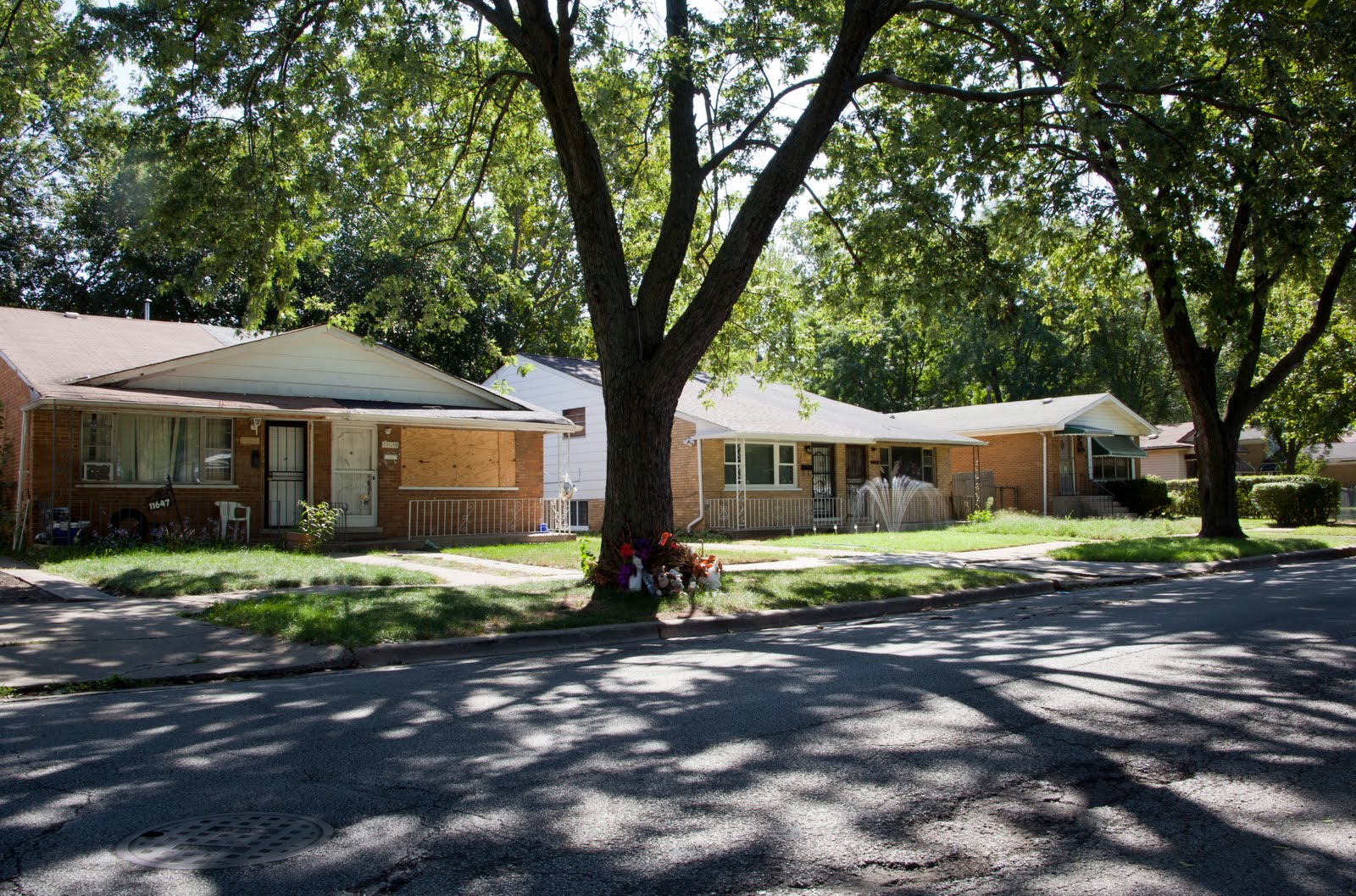 Killing Season Chicago Marshal Reed, 21