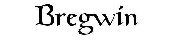 Bregwin
