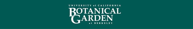 UC Botanical Garden Director's News