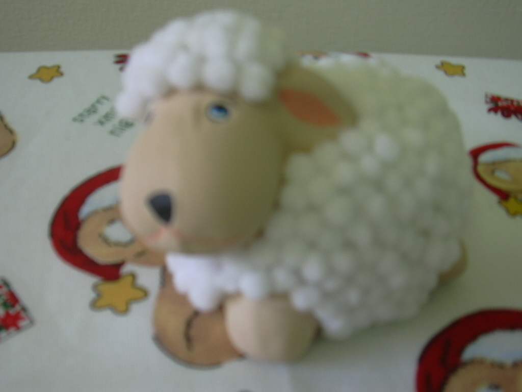 [DSCN0094.JPG]