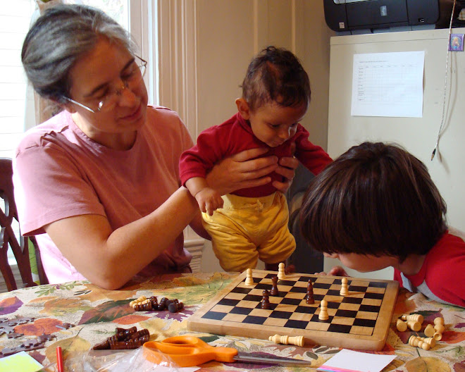 Playing Chess