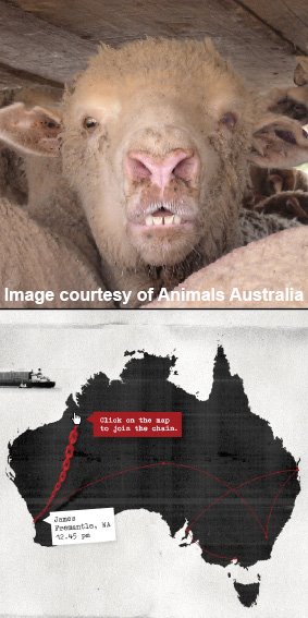 Holidays In Australia From Nz Webasto Product Australia Pty Ltd