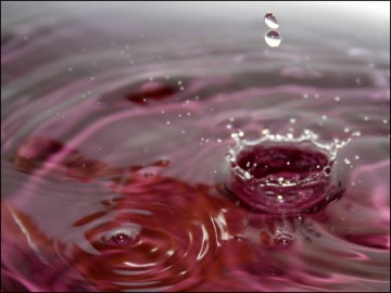 [medium_macro-goutte.jpg]