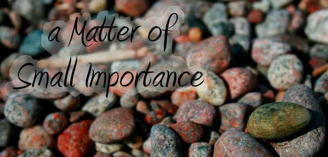 A Matter of Small Importance