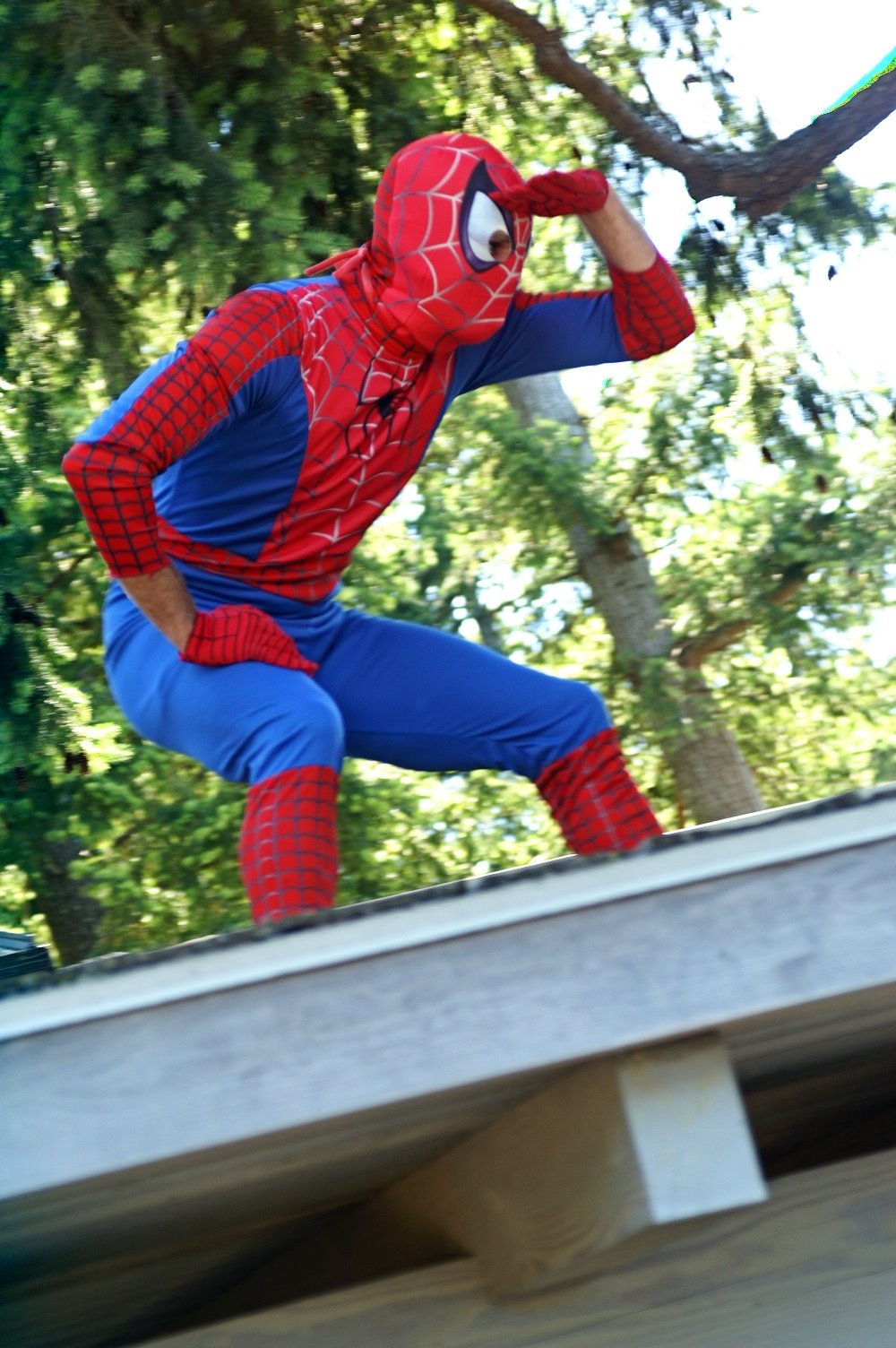 [seanspiderman3.jpg]