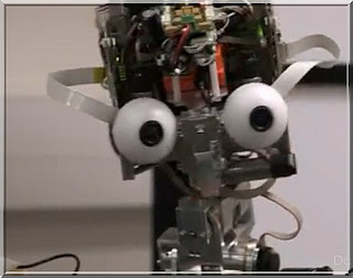 robot Icub Inserm