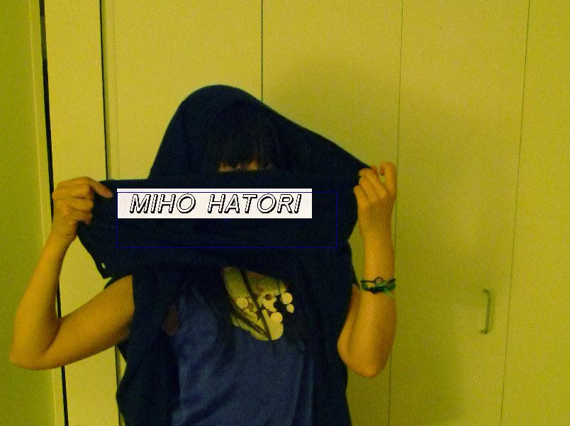 miho hatori