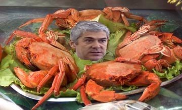 [Sapateira-full.jpg]