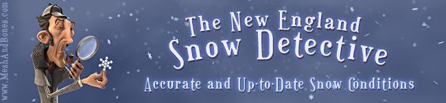 New England Snow Detective